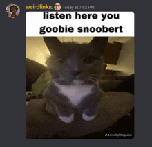 a picture of a cat with a caption that says listen here you goobie snoobert