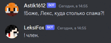 a screenshot of a skype conversation between astik1612 and leksifox