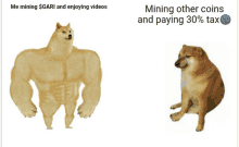 a picture of a doge next to a picture of a doge that says " me mining $gari and enjoying videos "