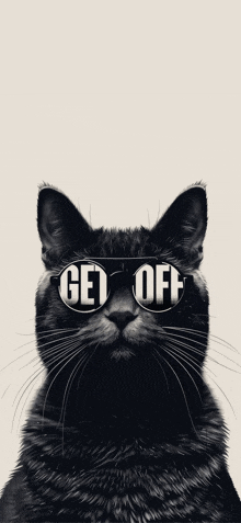 a cat wearing sunglasses with the words get off on them