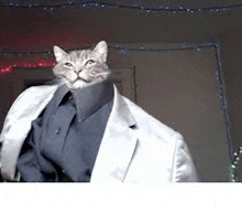 a cat is wearing a suit and tie and has a head .