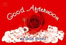 a red rose with the words " good afternoon my dear friend " below it