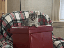 a kitten sits on a red ottoman with a plaid blanket behind it