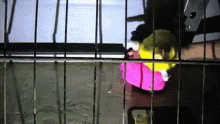 a bird in a cage with a pink toy