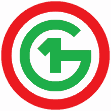 a green and white circle with the letter g in the center