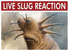 a picture of a slug with the words live slug reaction above it