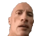 a close up of a bald man 's face with a serious look on his face on a white background .