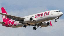 a love fly airplane is flying through the sky