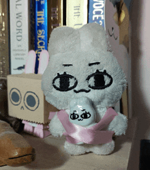 a stuffed animal with a pink ribbon around its neck stands in front of a book titled the secret