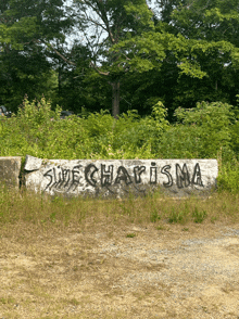 a concrete wall with the words swecharisma written on it