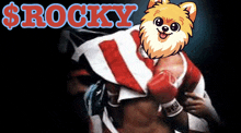 a boxer with a dog on his head and the word rocky above him