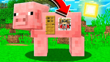 a pig in a minecraft game has a wooden door on its back