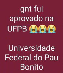 gnt fui aprovado na ufpb federal do pau bonito