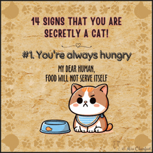 a cat sitting next to a bowl of food with a caption that says " you 're always hungry "