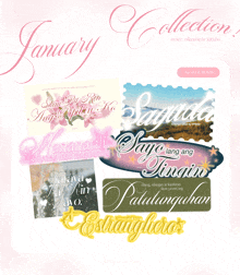 a collection of stickers called january collection is displayed on a light pink background