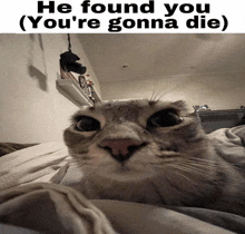 a cat laying on a bed with the words he found you ( you 're gonna die ) above it