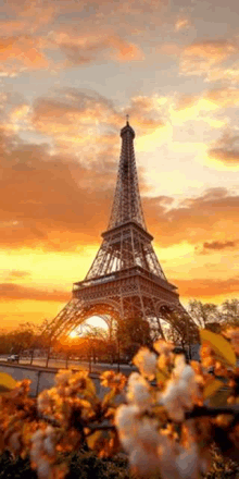 the eiffel tower is surrounded by flowers at sunset .