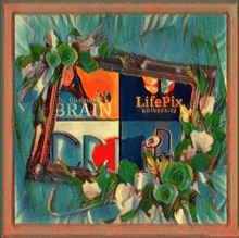 a framed picture with the words brain and life pix on it