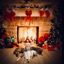 a group of dogs laying in front of a fireplace with stockings on the mantle