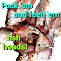 a bunch of fish heads with the words fuck em and feed em fish heads