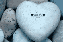 a heart shaped rock sits in a pile of rocks with the words columna below it