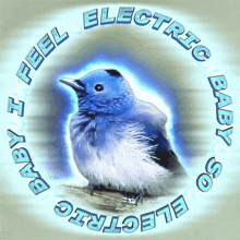 a blue and white bird is surrounded by the words " baby i feel electric so electric "