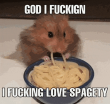 a hamster is eating spaghetti from a bowl with a caption .