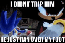 a meme of sonic the hedgehog and shadow the hedgehog