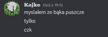 a screenshot of a chat with the name kajko at the top