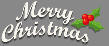 a merry christmas sign with a holly leaf and berries