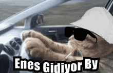 a cat wearing sunglasses is driving a car and says enes gidiyor by