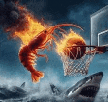 a flaming shrimp is playing basketball with a shark in the water .