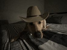 a dog wearing a tan cowboy hat is laying on a bed