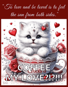 a white kitten sits in a cup of coffee with roses and hearts