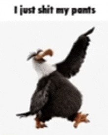 a stuffed bald eagle with its wings outstretched is standing on a white background .