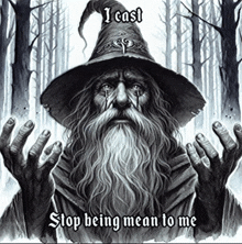 a picture of a wizard with the words " i cast stop being mean to me " on it