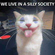 a cat with makeup on its face and the words " we live in a silly society " below it