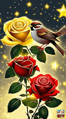 a picture of a bird sitting on a rose