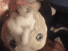 a person is holding a stuffed animal with a hole in its head