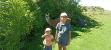 two girls standing next to a llama in a grassy field