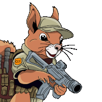 a cartoon drawing of a squirrel holding a gun with the letters ccc on its chest