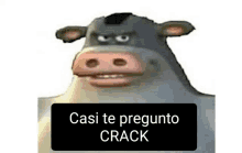 a picture of a cow with the words `` casi te pregunta crack '' written on it .