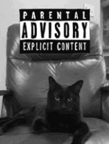 a black cat is sitting in a chair with a parental advisory explicit content sign behind it