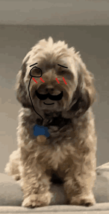 a dog with a drawing of a mustache and a crying face