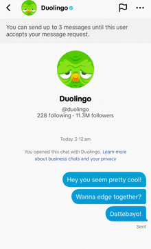 a screenshot of a duolingo app shows a conversation between two people