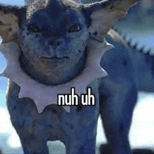 a close up of a cat wearing a collar with the words `` nuh uh '' on it .