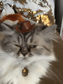 a cat wearing a cowboy hat with a bell on its neck