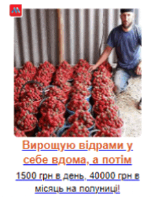 a man is kneeling in front of a pile of strawberries