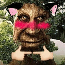 a statue of a tree with a cat ear and pink cheeks is being held by two hands .