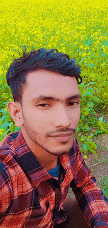 a young man is taking a selfie in a field of yellow flowers .